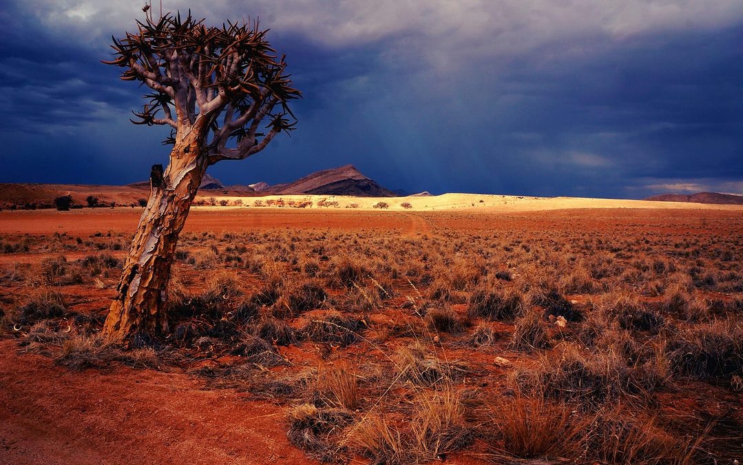 Top 5 bezienswaardigheden in Namibië