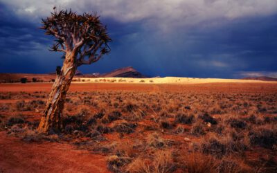 Top 5 bezienswaardigheden in Namibië