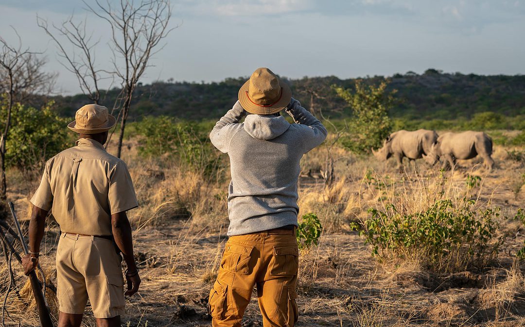 De 5 redenen om op safari in Ongava te gaan!