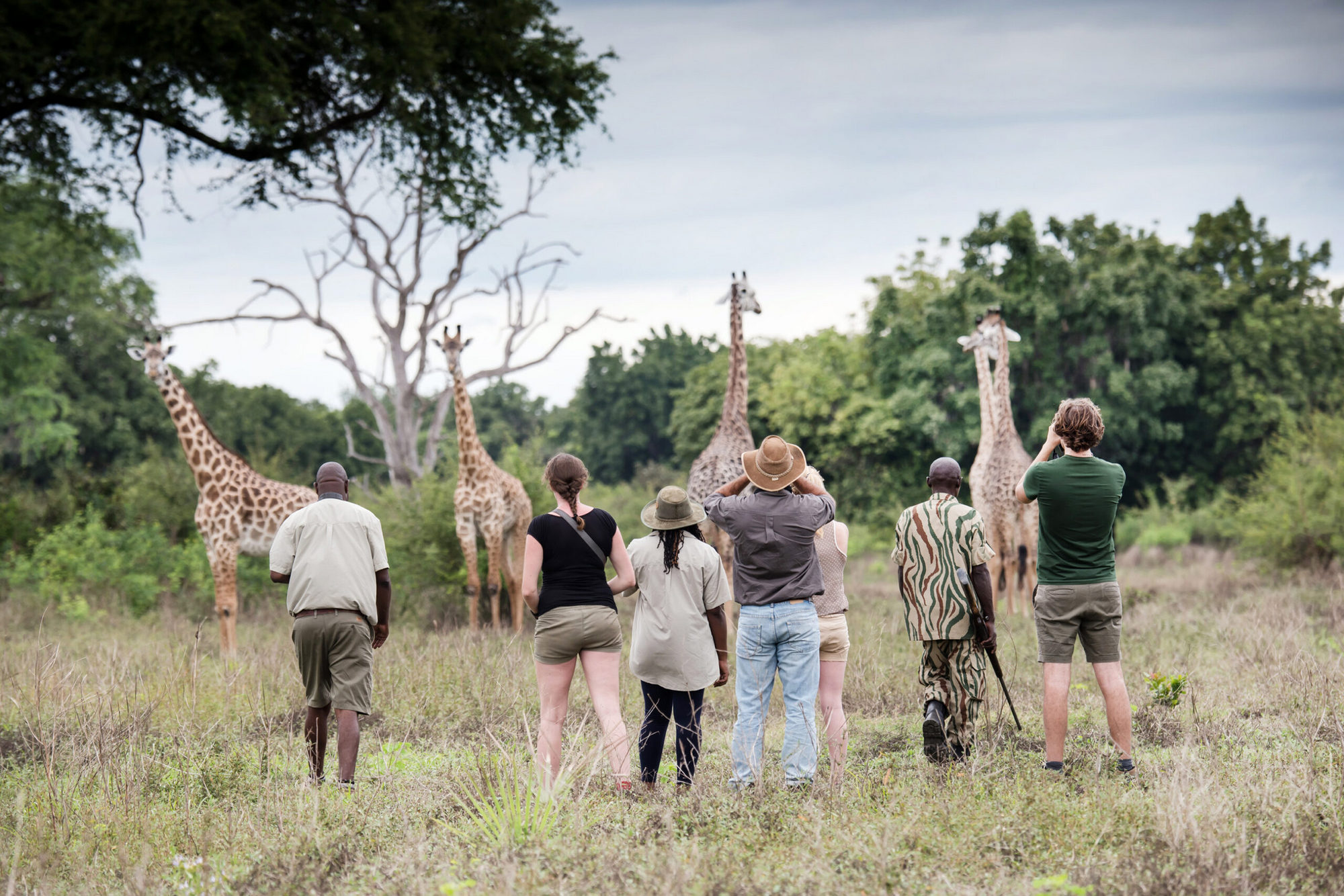 Safari Atelier - South Luangwa - Zambia