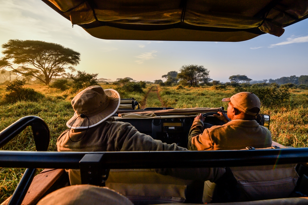 Safari Atelier - Singita - Pamushana - Gonarezhou - Zimbabwe