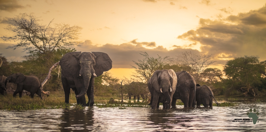 Liwonde RPS Safari Atelier 6 Safari Atelier - Liwonde - Michael Wendel - Malawi - Robin Pope Safaris