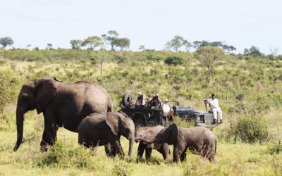 Waar in Afrika vind je de Big 5?