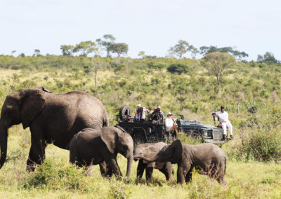 Met Safari Atelier naar Zuid-Afrika. Bezoek Sabi Sands tijdens jouw rondreis op maat. Olifanten in het Kruger