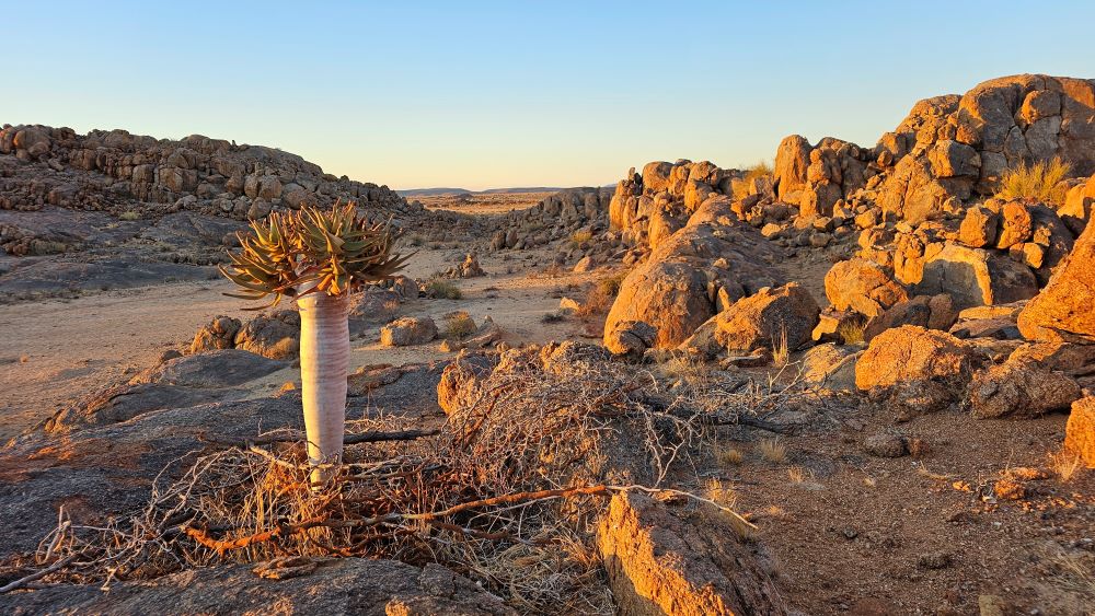 Is Namibië veilig voor toeristen?