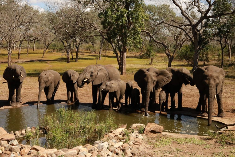 Majete (3) Safari Atelier - Majete - African Parcs -jeepsafari - Malawi