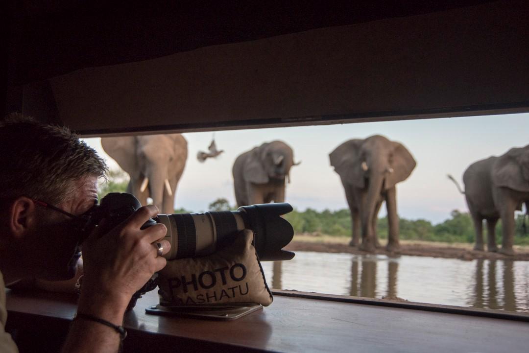 Safari Atelier - Mashatu Prive Reservaat - Botswana -
