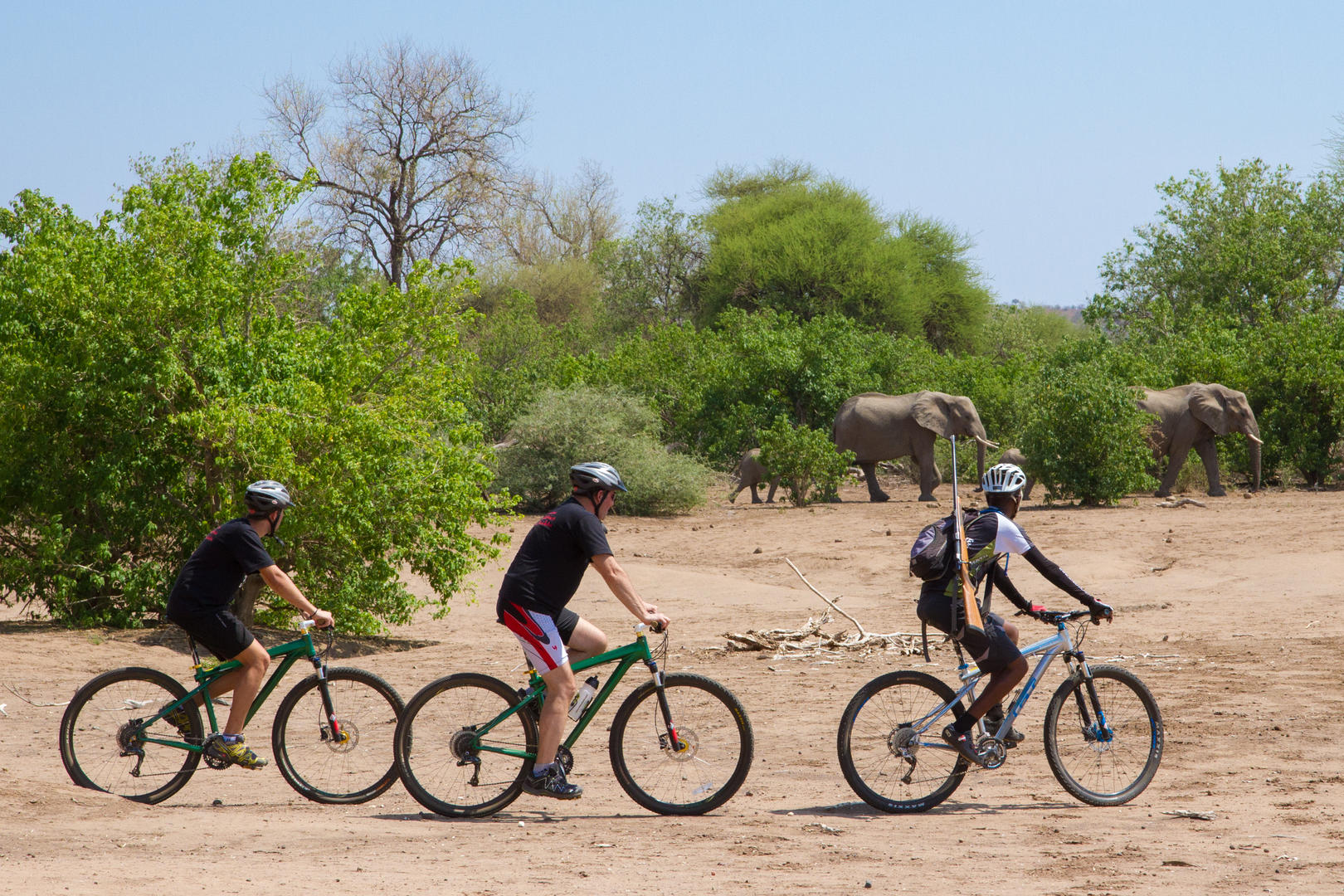 Safari Atelier - Mashatu Prive Reservaat - Botswana -