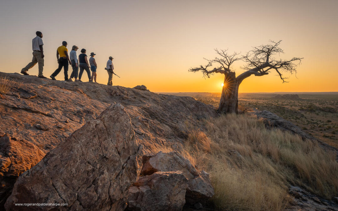 Waarom je Mashatu in Botswana niet mag missen!