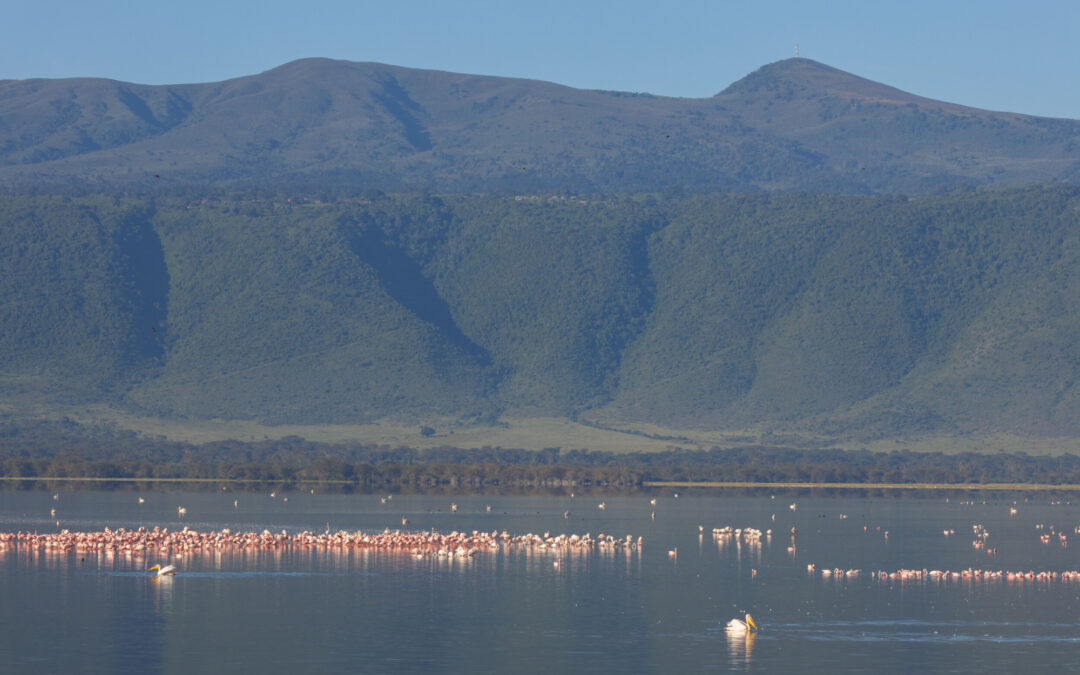 Waar is Wie is de Mol in Tanzania?