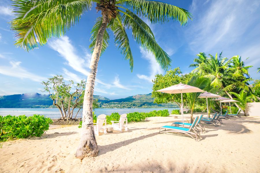 Safari Atelier - Pineapple Beach Villas - Mahe - Seychellen
