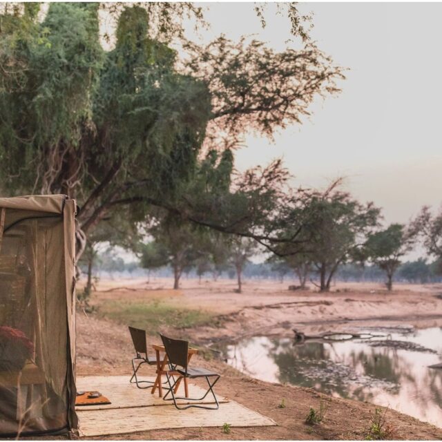 Zie jij jezelf al zitten hier op een stoeltje aan de rivier? 

De waanzinnige bushcamps Chula en Kutali Camp vertalen zich niet in luxe maar in een pure wildlife belevenis. Onder de deskundige begeleiding van Zambia’s vooraanstaande gidsen, Jakob en Kyle (en hun teams!), word je ondergedompeld in een authentiek avontuur waarbij je écht terug gaat naar de essentie van 'safari'.

Kutali Camp ligt verscholen in een bos vol doornbomen op Kulefu Island. Het bos maakt de setting van het kamp onwaarschijnlijk sprookjesachtig! Chula Camp ligt op Katengahumba eiland, prachtig gesitueerd onder de Mahonie-bomen Met name luipaarden worden met regelmaat op korte afstand van Chula gezien. Vanuit beide locaties ga je op enerverende jeep-, wandel- en kano safari’s, vanuit een unieke locatie binnen Lower Zambezi! 

Slechts een paar comfortabele tenten zijn harmonieus gebouwd op twee verschillende eilanden in Lower Zambezi, diep verscholen in het park. Voorzien van een open ‘bucket-shower’ en een wastafel met een view, beleef je hier de ultieme bush ervaring. Vanwege het duurzame en authentieke karakter is er geen zwembad op de locaties aanwezig.

Alle activiteiten, maaltijden en drankjes zijn opgenomen in het verblijf. Keuze uit activiteiten; kano-, jeep-, boot-, wandel- en nachtsafari. Vissen is ook mogelijk.

Wordt dit jouw volgende avontuur? 

#lowerzambezi #zambiasafari #wildlifeparadijs #wandelsafari #safaribeleven #natuurpracht #floraenfauna #safariatelier #reizenmetpassie #authentiekeavonturen #goudenrandje #ontdekafrika #onvergetelijkeervaringen #kanosafari #bootsafari #zambezi #zambia #safarizambia #uniekesafari #safariafrika
