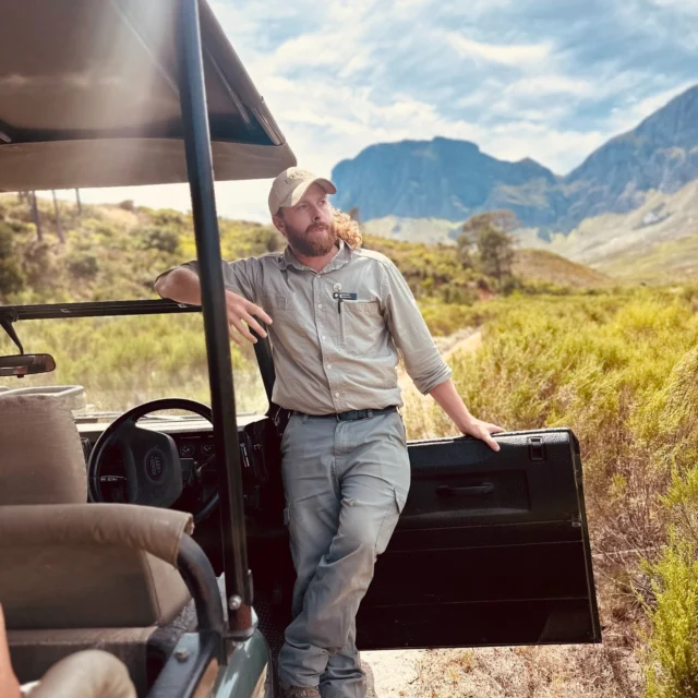 In de wijnlanden (van Zuid-Afrika) en op zoek naar een beleving anders dan alle anderen..? 

Beleef een onvergetelijk safari avontuur bij Idiom! Tijdens deze twee uur durende ontspannende safari geniet je van de geweldige uit- en vergezichten aan de voet van het Helderberggebergte. Dat je je te midden van de wijngaarden en alle geuren en kleuren van de fynbosvegetatie begeeft, maakt de setting écht bijzonder! Je spot een van de vele bontebokken en zebra's, springbokken en zelfs wildebeesten (maar ook vele vogelsoorten) vanuit de open jeep! 

Je kan zelfs kiezen of je enkel voor de safari gaat, of deze graag combineert met een sterrenwaardige lunch in het restaurant van Idiom, al dan niet met bijpassende wijnen.