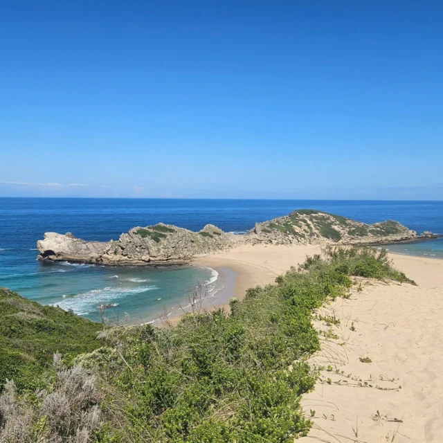 De kustlijn van Zuid Afrika is rauw, puur, intens mooi en altijd dynamisch. 

Zie hier 4 verschillende beelden van de afgelopen weken! De eerste is genomen in Robberg Beach Reserve met haar prachtige wandelpaden en uitzicht op zeehonden koloniën, gevold door de spectaculaire hangbrug over de Stormsrivier in Tsitsikamma. Daarna ons uitzicht vanuit accommodatie Oyster Box in Kenton-on-sea...simpelweg wow! En nu sluiten we af in het tropische Kwazulu Natal bij het exclusieve Sala Beach in Ballito. Ik heb geen favoriet omdat alle loacties waanzinnig zijn en ik ben enorm dankbaar voor al deze nieuwe plekjes en gemaakte herinneringen...

Wil je meer weten over de verschillende strandlocaties in Zuid Afrika? Vraag het ons!

Een fijn Paasweekend gewenst en groetjes uit Zuid Afrika!

#salabeachhouse #kentononsea #robbergnaturereserve #safariatelier #tsitsikammanationalpark