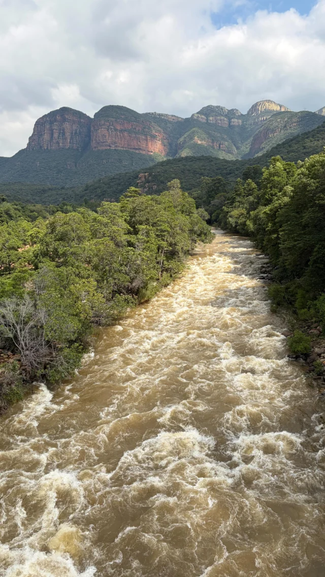 Dit weekend vaarden we door de derde grootse canyon ter wereld.. de Blyde River Canyon! In tegenstelling tot bijvoorbeeld de Grand Canyon, is deze canyon begroeid met weelderige subtropische vegetatie, vandaar de bijnaam “groene canyon”. Zoals meestal begint het een beetje tammetjes aan boord, maar daar weet de schipper wel raad mee. Hij heeft een goede mix van humor en kennis, waardoor het een super leuke en leerzame tocht wordt. We kwamen oog in oog te staan met nijlpaarden, krokodillen en aanschouwden de zeldzame Kadishi Tufa-waterval van dichtbij. Het landschap is echt onwaarschijnlijk mooi en de combinatie met het spotten van aardig wat wild en vogels maakt het echt een super leuke ochtend. Genieten!